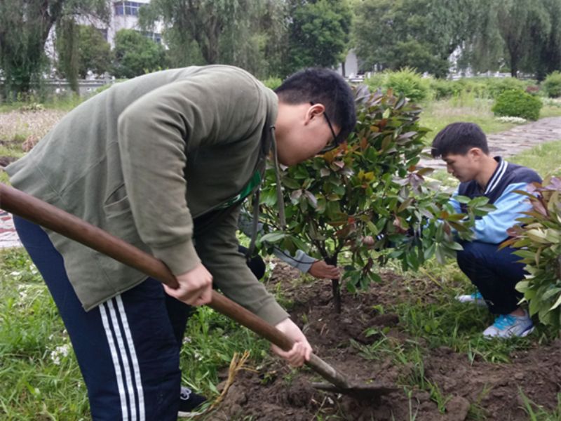 梓桐园艺社开展“我为学校添新绿”植树活动